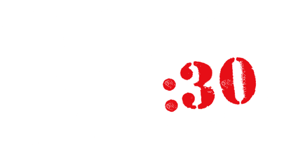 INSANITY MAX:30 logo