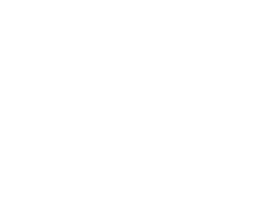 21 Day Fix logo