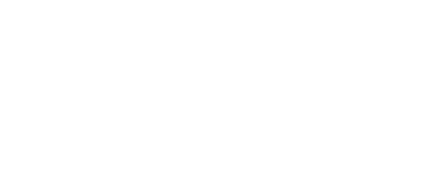 Dig Deeper logo